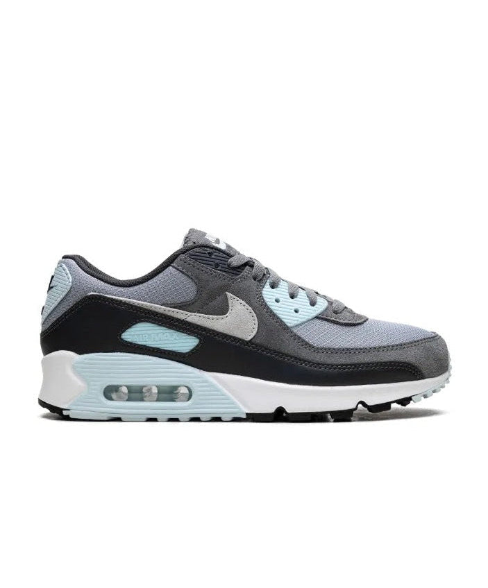 Nike Air Max 90 Light Pumice Smoke Grey DM0029-009